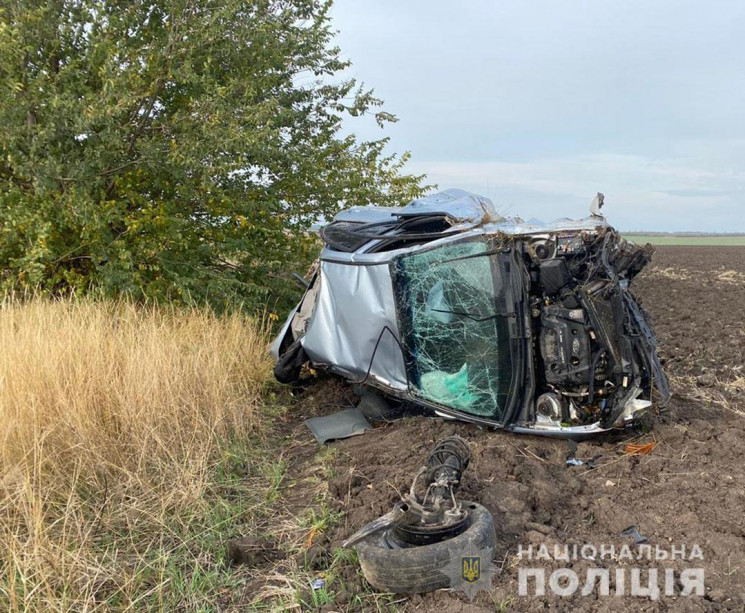 В Запорожской области пьяная женщина нас…