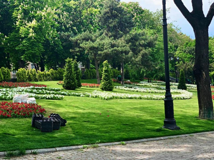 Склоны Стамбульского парка украсили цвет…
