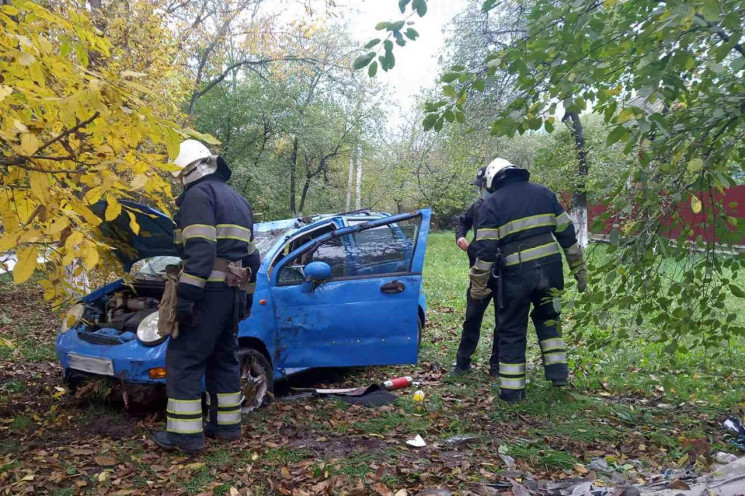 У Кам'янці автівка вилетіла з дороги…