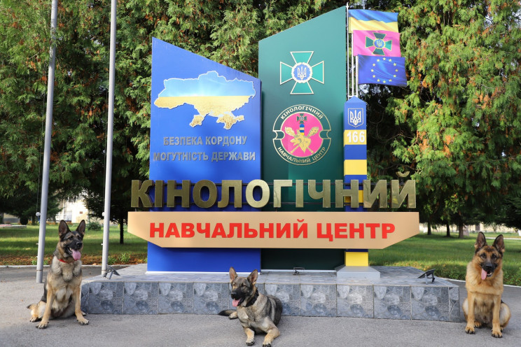 Українцям показали, як тренують собак, щ…