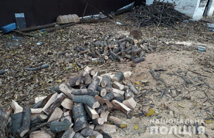 В Донецкой области задержали "черных лес…