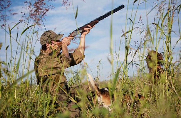 На Свалявщині мисливці відстрілюють кіз,…