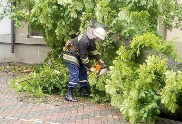 Через грозу у центрі Вінниці впало дерев…
