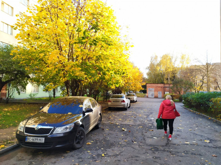 Який вигляд має золота осінь у Львові (Ф…