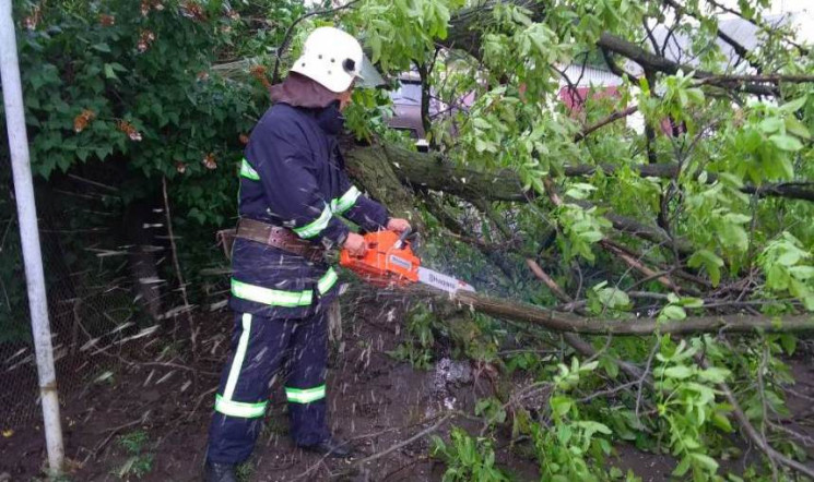Негода у Балті повалила дерева…