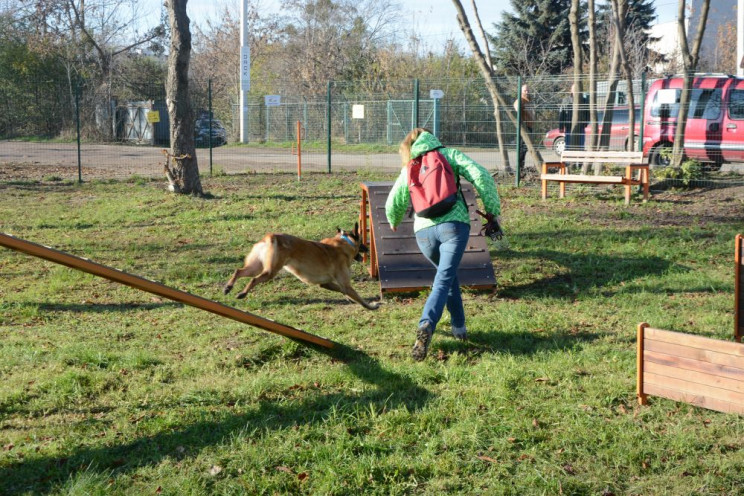 У Львові облаштували тренувально-вигульн…