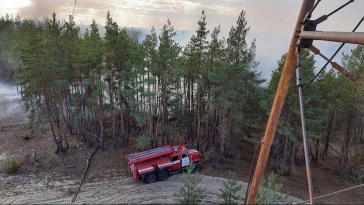 На Луганщині слідчі назвали причину лісо…