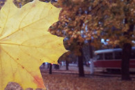 Осенняя Одесса: ТОП-10 мест для изысканн…