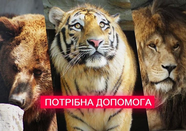 Центр реабилитации животных в Запорожско…