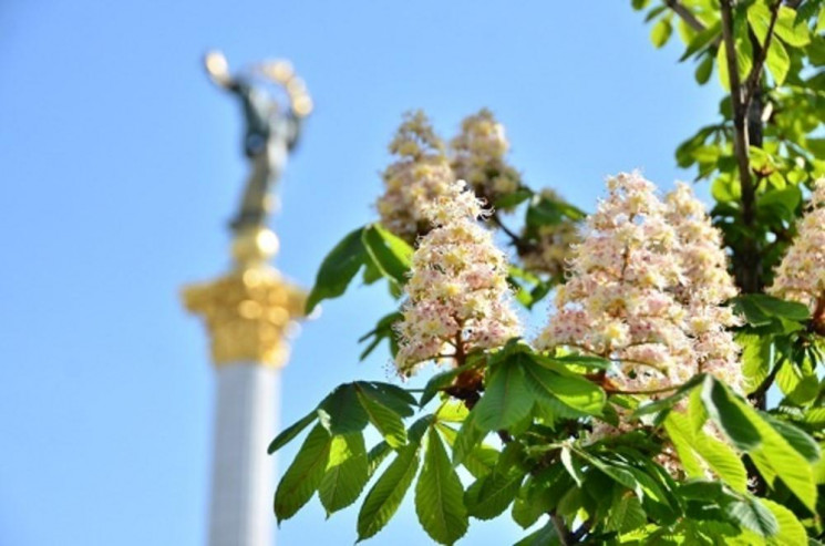 "Космическая симфония", спорт и сальса п…