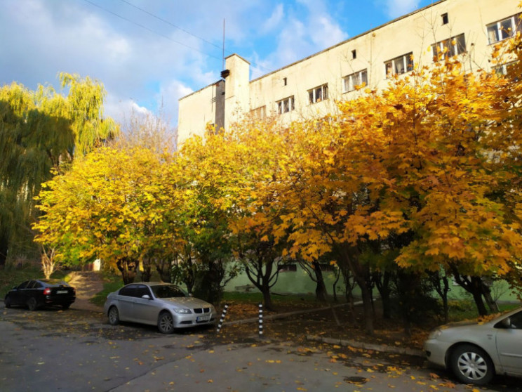 Який вигляд має Львів восени (ФОТО, ВІДЕ…