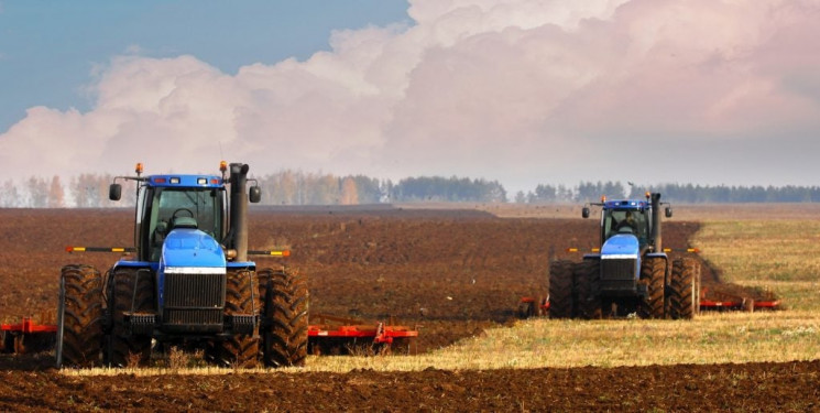 Аграрії Хмельниччини засіяли озимину на…