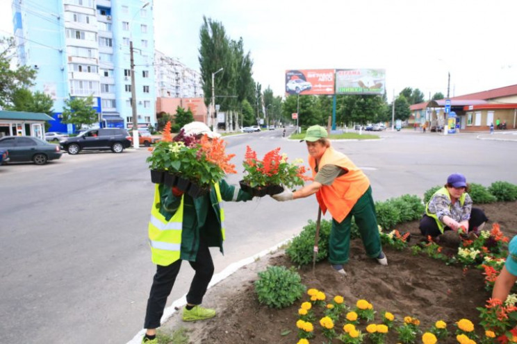 На улицах Кременчуга коммунальщики высад…