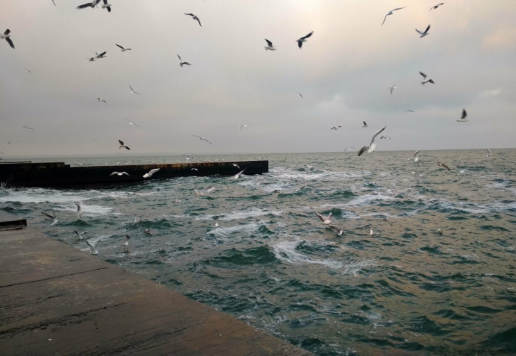 В Одесі штормить: Хвилі підіймаються до…