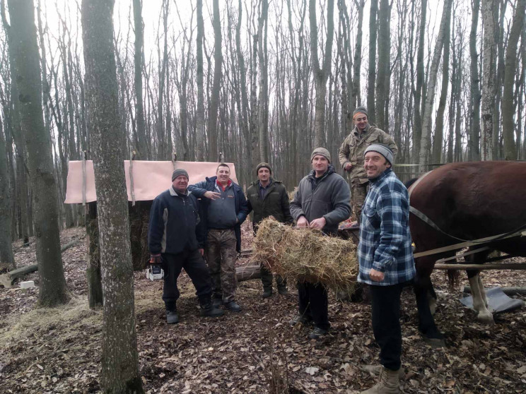 У Ярмолинецьких лісах підгодовують диких…