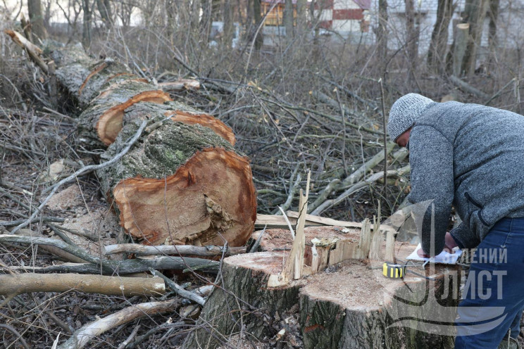 Через заплановане будівництво на Дачі Ко…