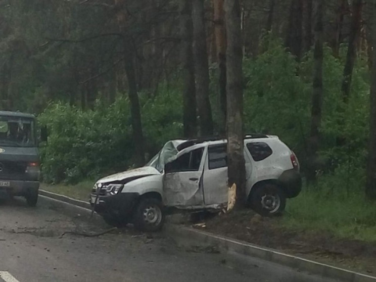 В Кропивницком водитель Renault врезался…