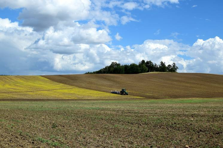 На аукціоні земля Кропивниччини виявилас…