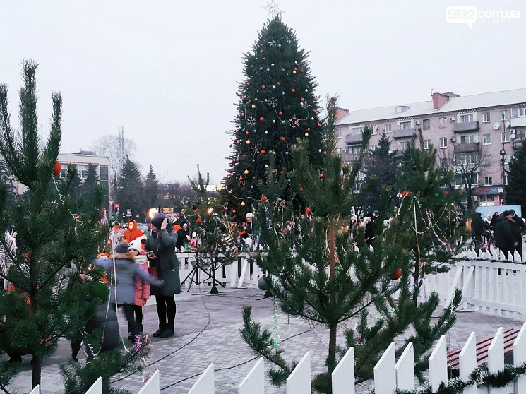 В Павлограде открыли самую большую живую…