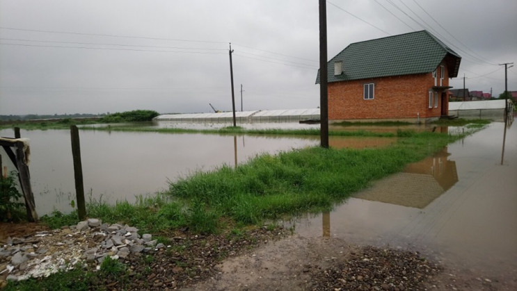 Велика вода як вирок: Чому закарпатці не…