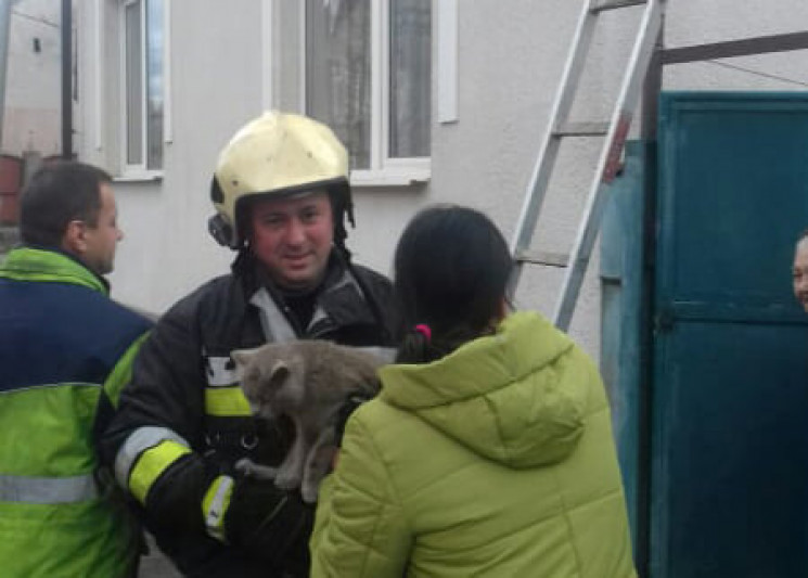 У Хусті рятували кота, що два дні провів…