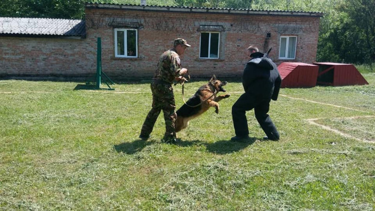 У колонії на Кропивниччині відбулися зма…