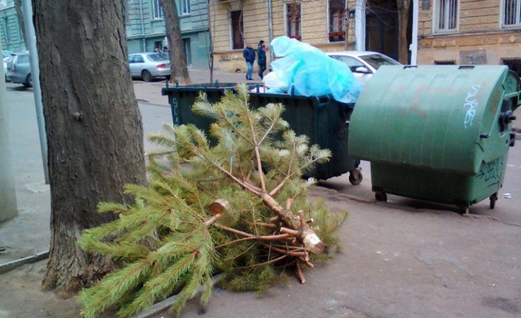 В Одесі ялинки обмінюють на цукерки: Адр…