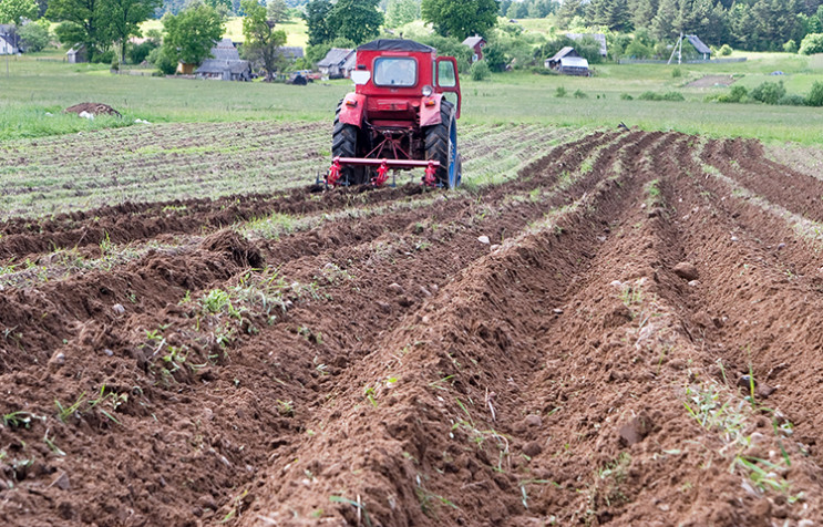 Півроку до відкриття ринку: Скільки кошт…