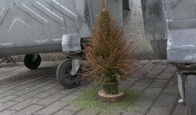Из новогодних елок в Хмельницком делают…