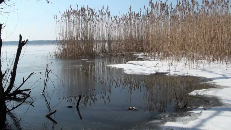 Шукали два місяці: В озері біля Львова з…