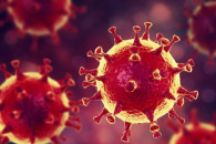 Життя 16 людей забрав коронавірус на Оде…
