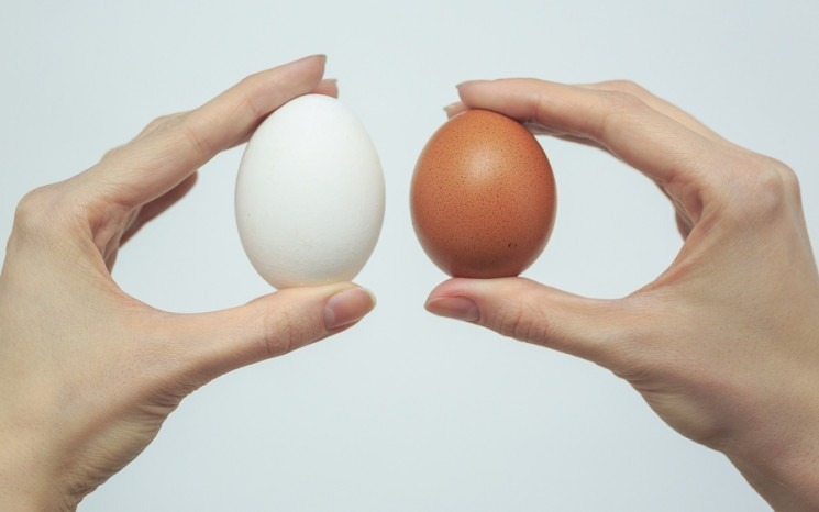 На Львівщині зросли ціни на яйця…