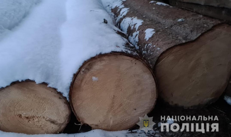 Поліцейські виявляють факти незаконної п…