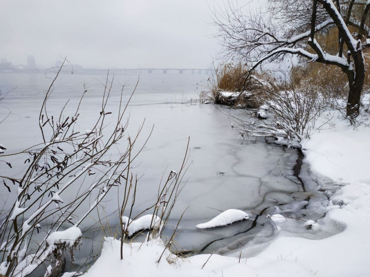 В Николаевской области "крещенских" моро…