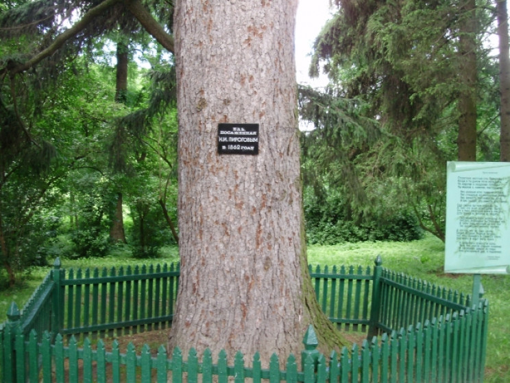 На карту найстаріших дерев України потра…