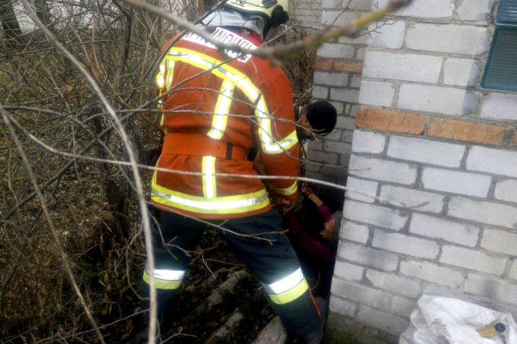 На Днепропетровщине женщина упала в выгр…