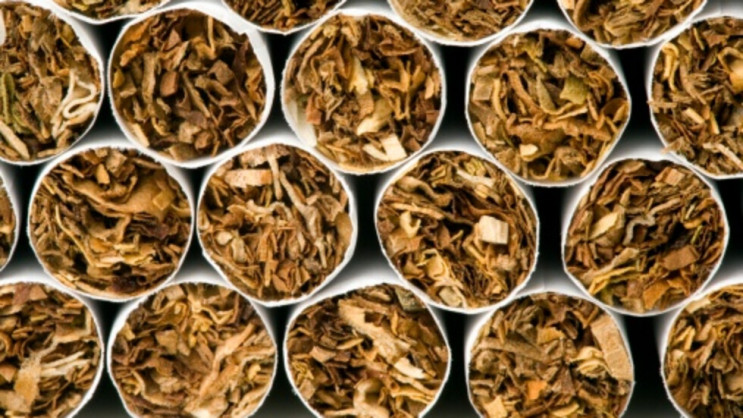 На Львівщині збілишилося виробництво тют…