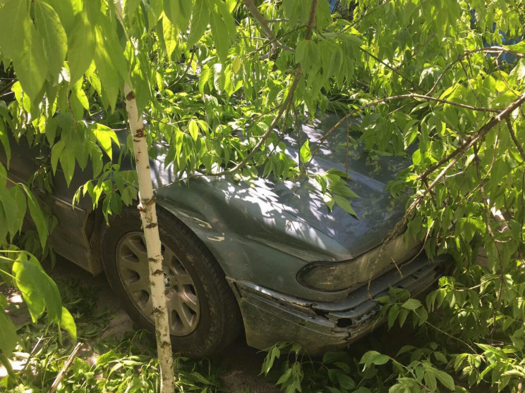 У Хмельницькому дерево впало на автівки…