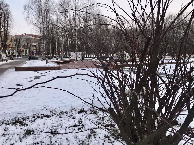 Без снігу та сонця: Яким буде 28 січня н…