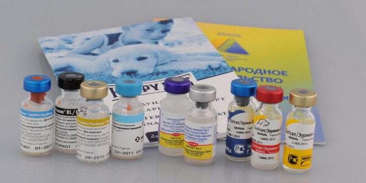 Венгрия передала в Закарпатье вакцину от…