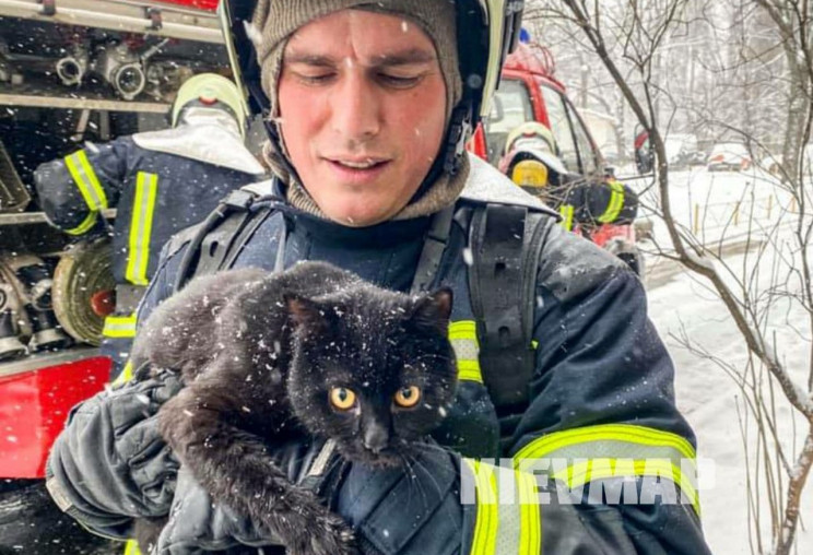 Київські пожежники врятували з вогню кот…