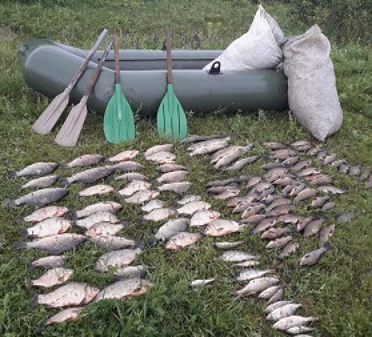 На Кропивнитчине браконьеры выловили рыб…