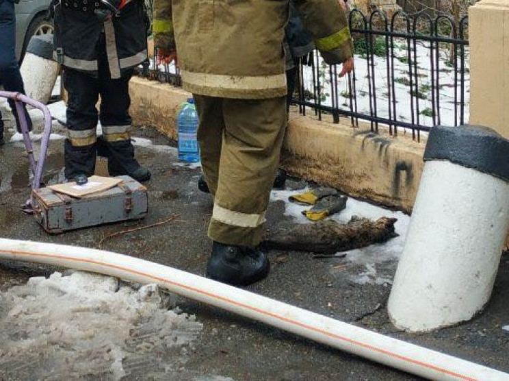 С пожара в центре Одессы огнеборцы спасл…