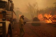 Масштабные пожары в Австралии уничтожили…