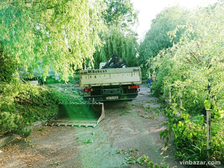 На Максимовича оновлюють озеро і довколи…