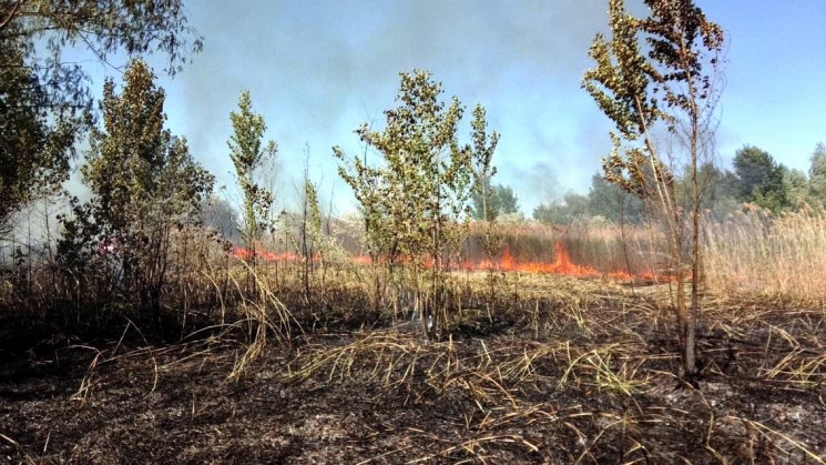 На Дніпропетровщині спалахнуло поле сухо…