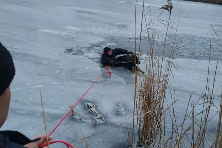 В Днепре собака провалилась под лед…