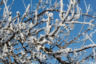 Закарпатье: Прогноз погоды на 13 февраля…