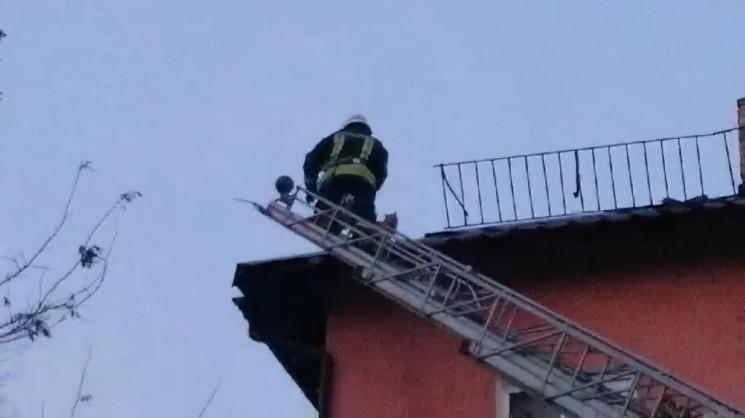 У Запоріжжі пожежні врятували кота з дах…