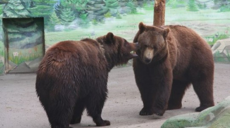 Поляна и Бумер: В Одесском зоопарке в Де…